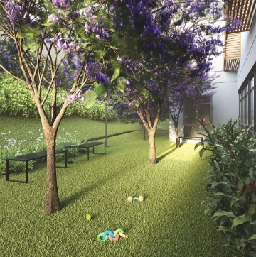 Árvores nativas, frutíferas e mini horta de temperos