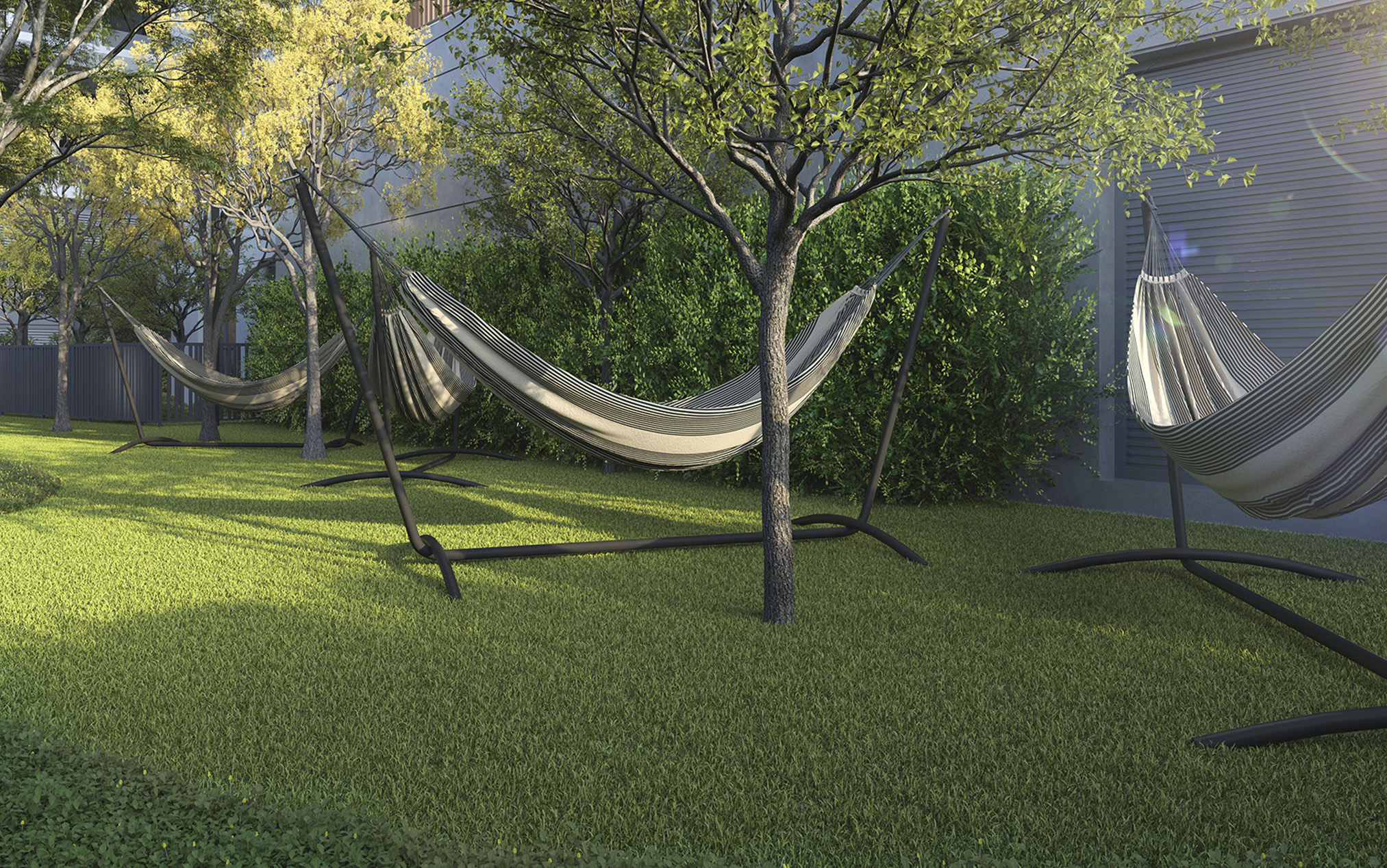 Redário - Imagem preliminar