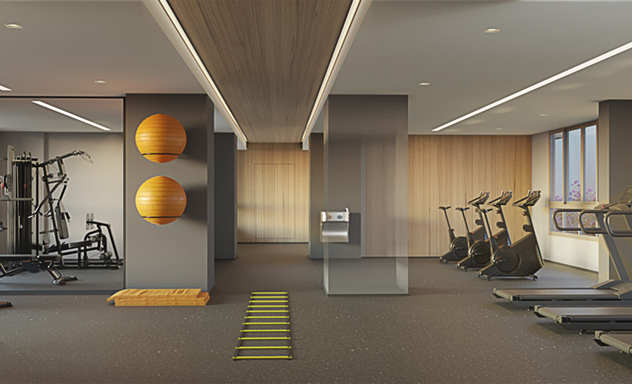 Fitness - Imagem preliminar