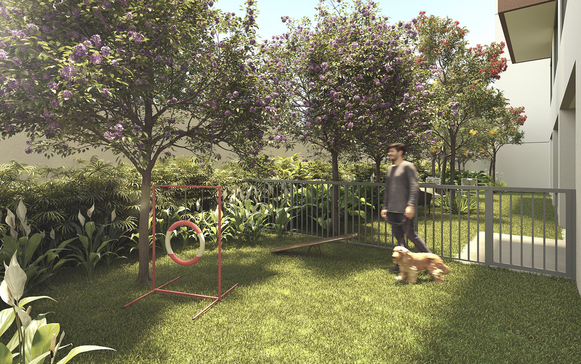 Pet Place - Imagem preliminar