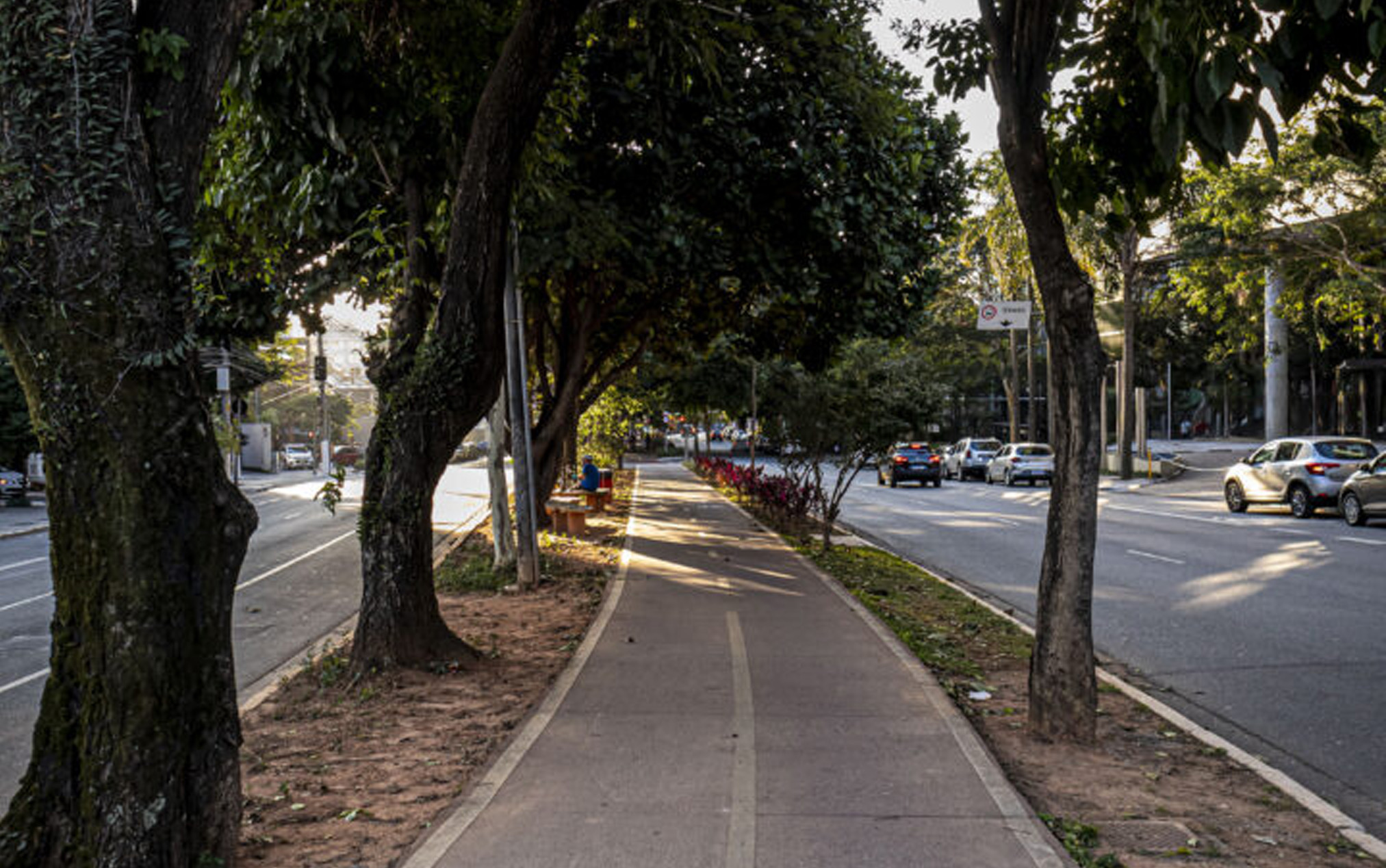 CicloFaixa Av Faria Lima