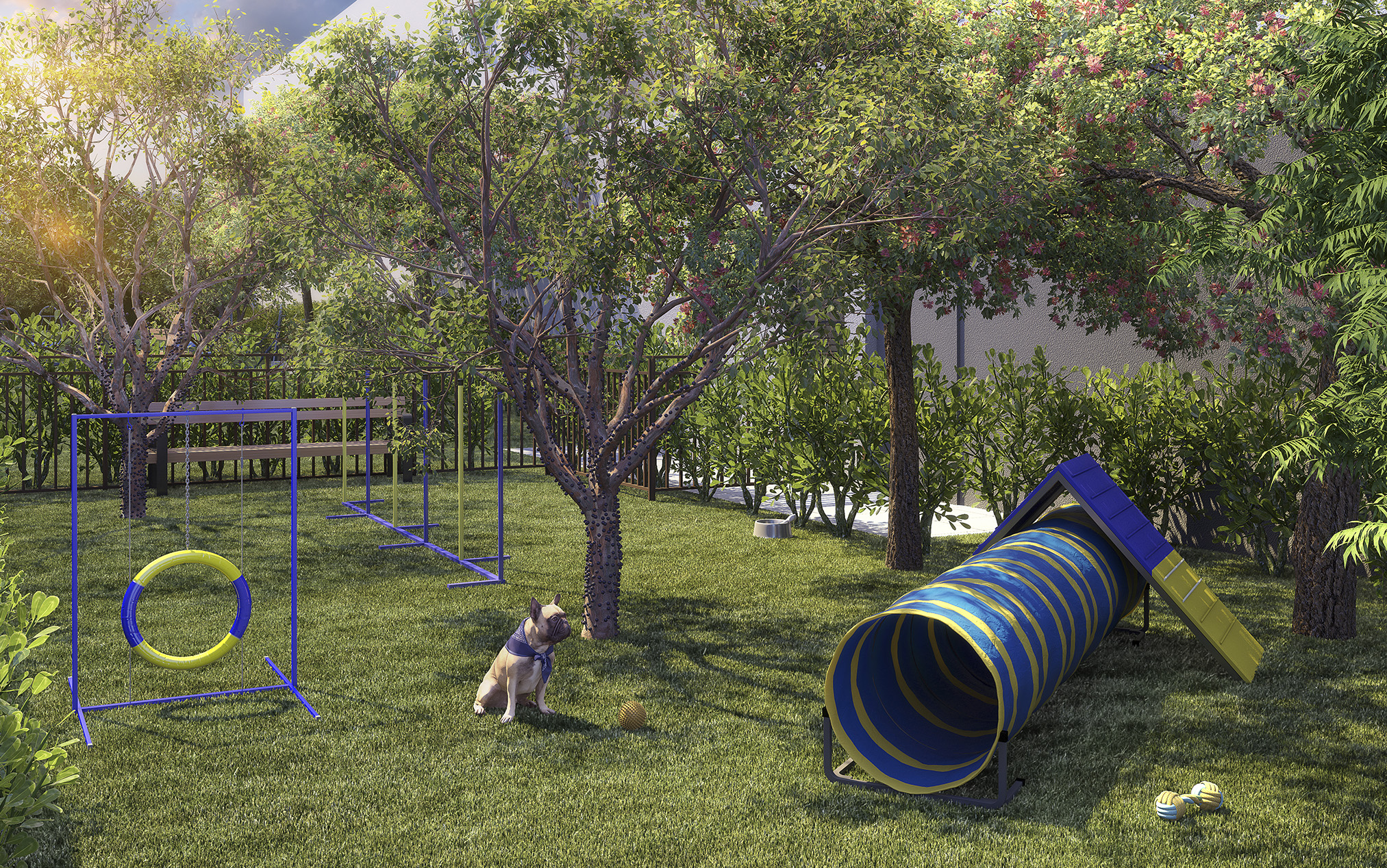 Pet place - Imagem preliminar