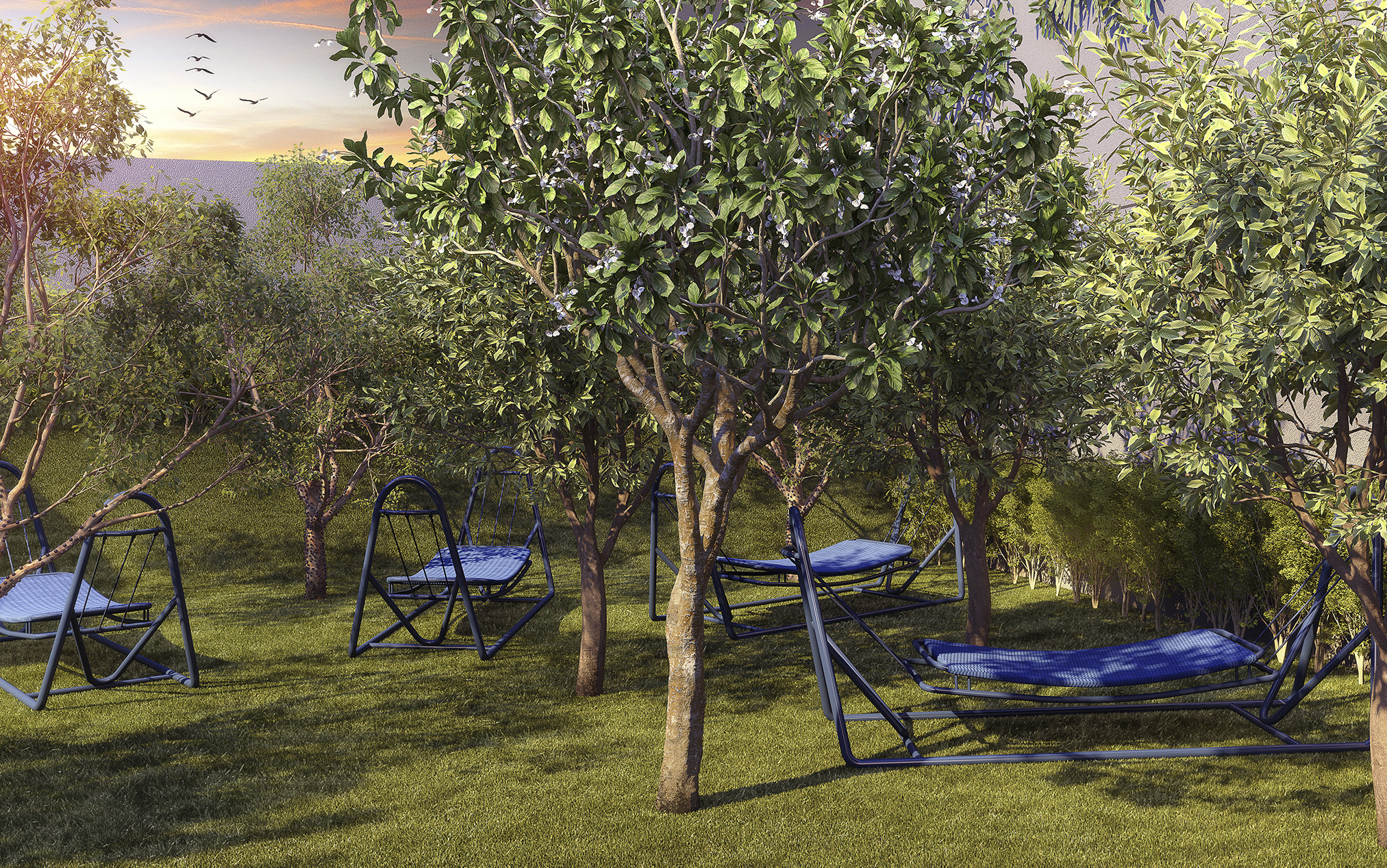 Redário - Imagem preliminar