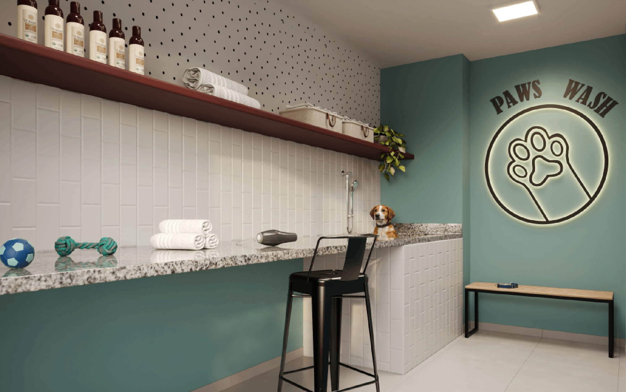 Pet Care - Imagem preliminar