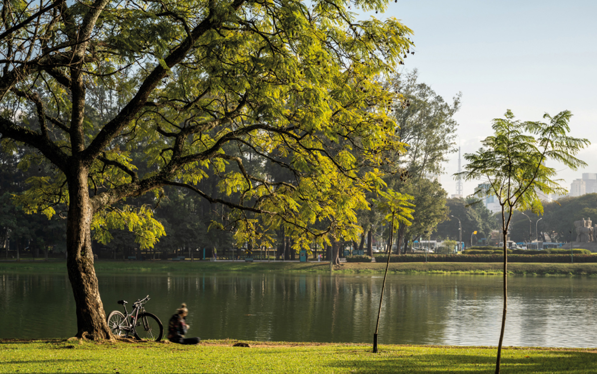 Parque do Ibirapuera