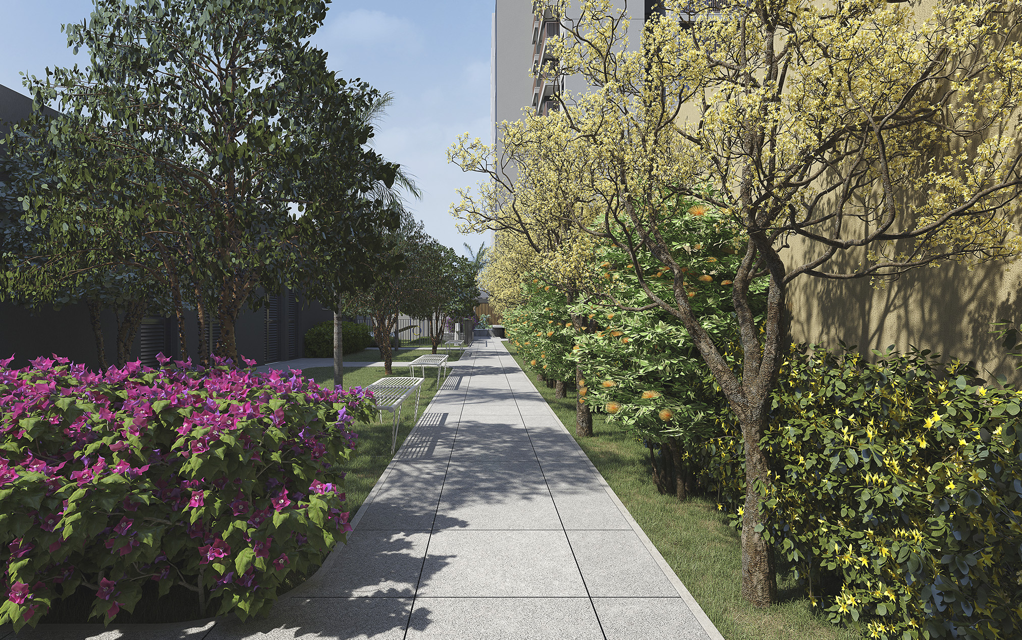 Alameda de Entrada - Imagem preliminar