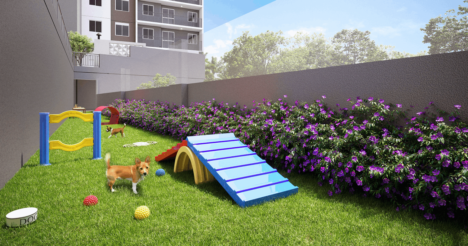 Pet place - Imagem preliminar